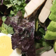 Cobb salad, suitable even for carnivores.